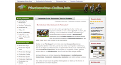 Desktop Screenshot of pferdewetten-online.info